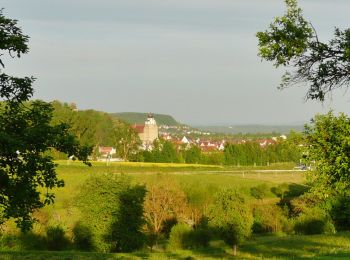 Excursión A pie Herrenberg - Streuobsterlebnisweg Kuppingen - Photo