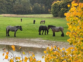 Tocht Stappen Tervuren - #221017 - Duisburg, Wolfkensberg, Raffelberg - Photo