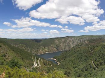 Tour Zu Fuß Nogueira de Ramuín - Transourensan - Photo