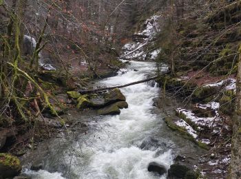 Trail Walking Saint-Jean-de-Sixt - Saint-Jean-de-Sixt ... par la vallée du NOM.  - Photo