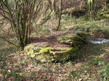 Randonnée A pied Culey-le-Patry - Le Mouin du Fay - Photo