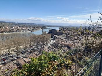 Trail Walking Tournon-sur-Rhône - charray3 - pas du géant-belvédère  - Photo