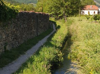 Tour Wandern Nant - Carmat-Nant-Montredon - Photo