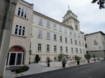 Percorso A piedi Gemeinde Katzelsdorf - Fuchs Runde 