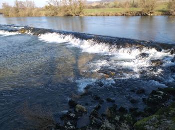 Tocht Stappen Rennes-sur-Loue - Rennes sur Loue - Photo