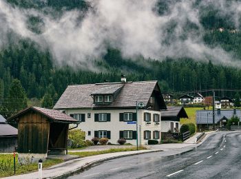 Randonnée A pied Gosau - Gosau Geo Rundweg - Photo