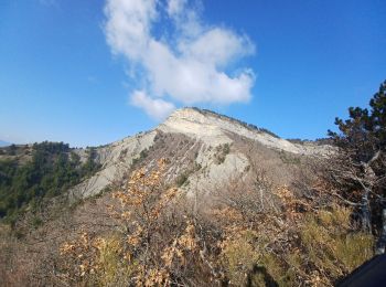 Excursión Senderismo Ventavon - VENTAVON  . crête de Colombier , roc de l Escubier o m s  - Photo