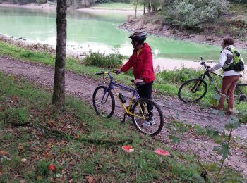 Trail Hybrid bike La Roche-sur-Yon - la roche sur yon terres noires complexe  sportif  - Photo