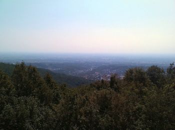 Randonnée A pied Zagreb - Planinarska staza Medvednica 13 - Photo