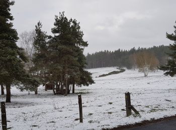 Excursión Senderismo Peyre en Aubrac - Aumont Aubrac / Le Py auberge les gentianes  - Photo