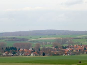 Excursión A pie Bühren - Rundwanderweg Bühren 1 - Photo