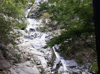 Excursión A pie Casteil - Gorges du Cady et cascade Dietrich  - Photo