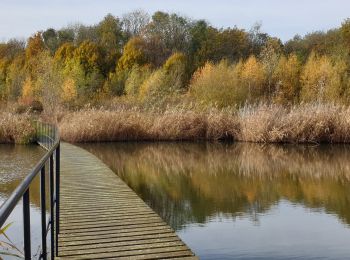 Trail Walking Kruibeke - Kruibeke Polders - Photo