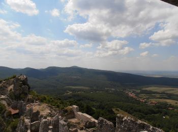 Tocht Te voet Háromhuta - P■ (Óhuta - Tábor-hegy) - Photo