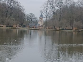 Trail Walking Nivelles - École Normale (arrière) - Parc de la Dodaine - Photo