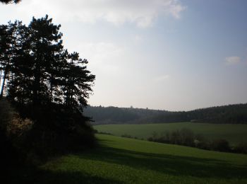 Tocht Te voet okres Piešťany - SK-Náučný chodník Čerenec, Tlstá Hora, Malá Pec, Veľká Pec, Barónov hrob - Photo