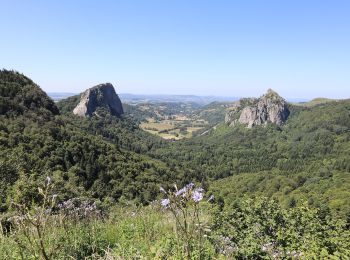 Percorso A piedi Mont-Dore - Le plateau du Guery - Photo