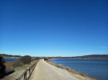 Randonnée Marche Bouzigues - Bouzigues 15.12.23 - Photo