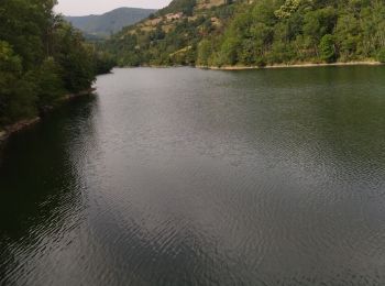 Excursión Senderismo La Valla-en-Gier - 42 valla en gier - Photo