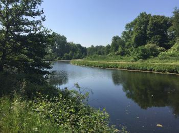 Tocht Stappen Seneffe - BE-Seneffe - Arquennes - Hameau Les Bois et l'ancien canal - Photo