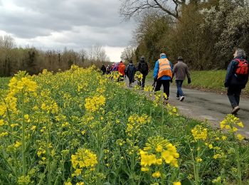 Trail Walking Chézy-en-Orxois - Chézy-en-Orxois du 31-03-2022 - Photo