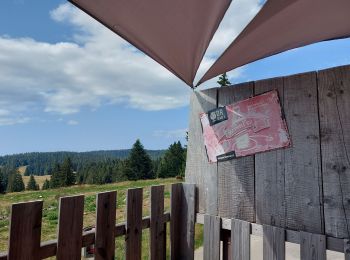 Tocht Stappen Prémanon - col de la porte et de la Dole - Photo