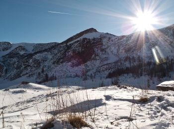 Tour Zu Fuß Bagolino - Villa Roma - Passo Brealone - Photo