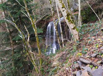 Excursión Senderismo Saint-Sauves-d'Auvergne - test - Photo