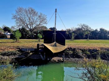 Excursión Senderismo Noirmoutier-en-l'Île - Jeun et Rando J4 Balade en solo PM - Photo