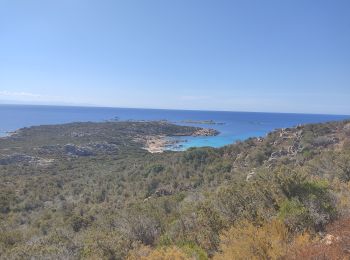 Tour Wandern Pianottoli-Caldarello - Spassighjata di Bruzzi - Photo