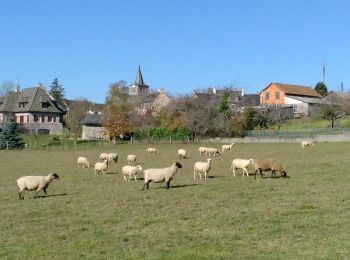 Percorso A piedi Le Nayrac - Un Village Fleuri - Photo