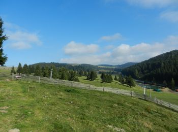 Randonnée A pied Passail - Wanderweg 45 - Photo