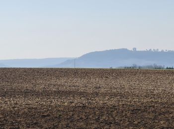 Trail Walking Flirey - Flirey circuit des Vignottes - Photo