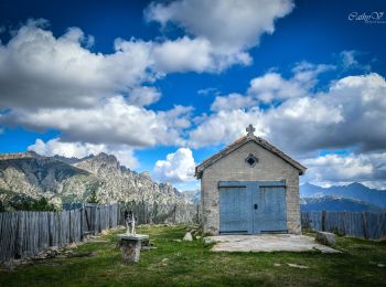Tocht Te voet Soccia - Lac de CRENA et Chapelle St Eliseo - Photo