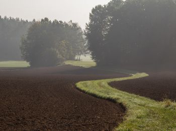 Percorso A piedi Aufseß - Brauereienweg Aufseß - Photo