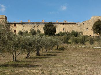 Tocht Te voet Marsciano - Compignano - Monte Lagello - Mercatello - Photo