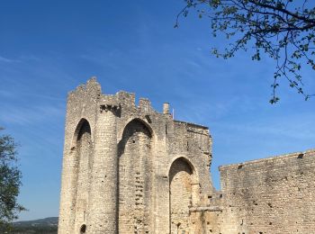 Randonnée Marche Cruas - cruas - Photo