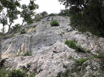 Percorso A piedi Camaiore - Traversata delle Frazioni Camaioresi - Photo