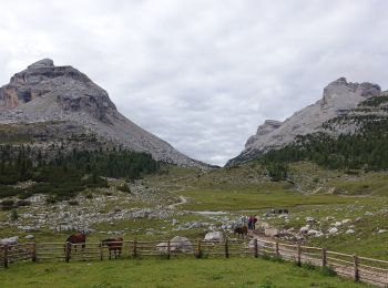 Tocht Te voet Marèo - Enneberg - Marebbe - IT-17 - Photo