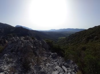 Tour Wandern Saint-Paul-de-Fenouillet - Autour des gorges de Galamus - Photo