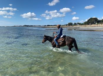 Tocht Paardrijden Sarzeau - Plage St Jacques 1 - Photo