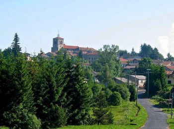 Randonnée Marche Fournols - Fournols_Deux_Freres - Photo