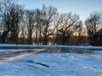 Randonnée Marche Sambreville - etang et alliage moignelee - Photo