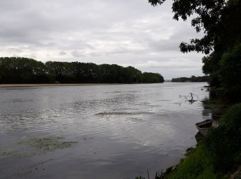 Randonnée Marche Gennes-Val-de-Loire - gennes - Photo