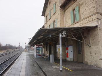 Tocht Te voet Mössingen - Zugangsweg - Mössingen - Weg-3 - Bahnhof Mössingen - Richtung Dreifürstenstein (In Weg 2) - Photo