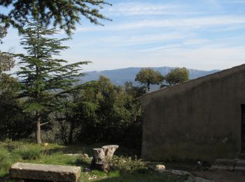 Randonnée Marche Trets - Ermitage Saint Jean du Puy - Photo