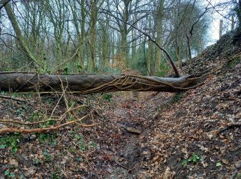 Tocht Stappen Luik - Bois-de-Breux-Bois de Fayenbois  Boucle  - Photo