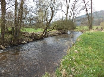 Tour Zu Fuß Sinntal - Altengronau - Rundweg am Grauberg - Marder - Photo