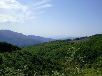 Tour Zu Fuß Favale di Malvaro - Acquapendente - Monte Caucaso - Barbagelata - Photo