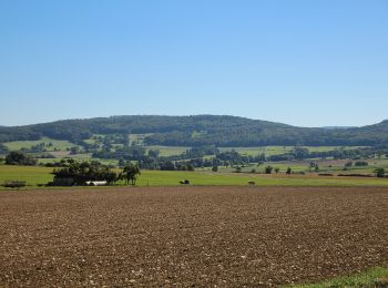 Tour Zu Fuß Nüsttal - Rundweg 2, Haselstein - Photo